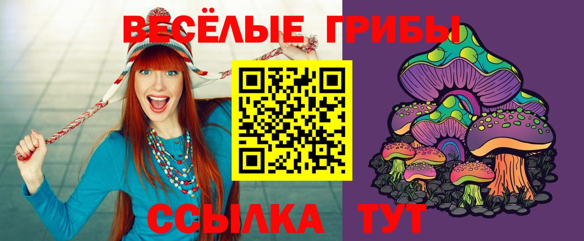 Галлюциногенные грибы Cubensis  Псилоцибиновые грибы GOLDEN TEACHER  Оренбург  Вход с VPN 